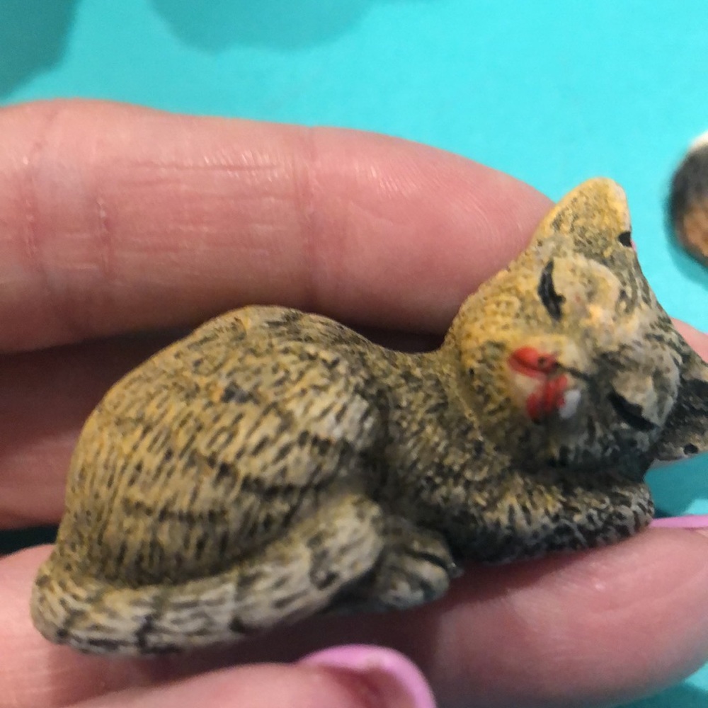 5pc cat collection - Picture 4 of 7